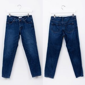 Ann Taylor LOFT Button Fly Boyfriend Jeans 26/2